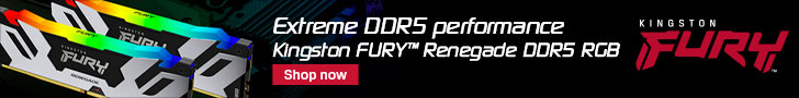 FURY-Renegade-DDR5-RGB-Launch_728x90-banner_AS866976_EN_0722 (1)
